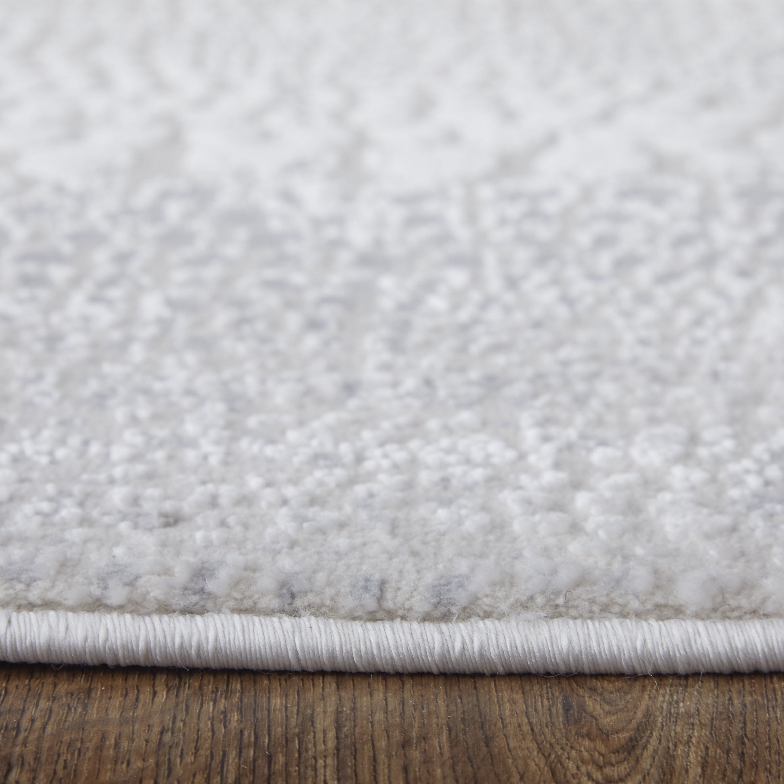 Prasad Modern Distressed - Ivory/Silver/Gray Area Rug