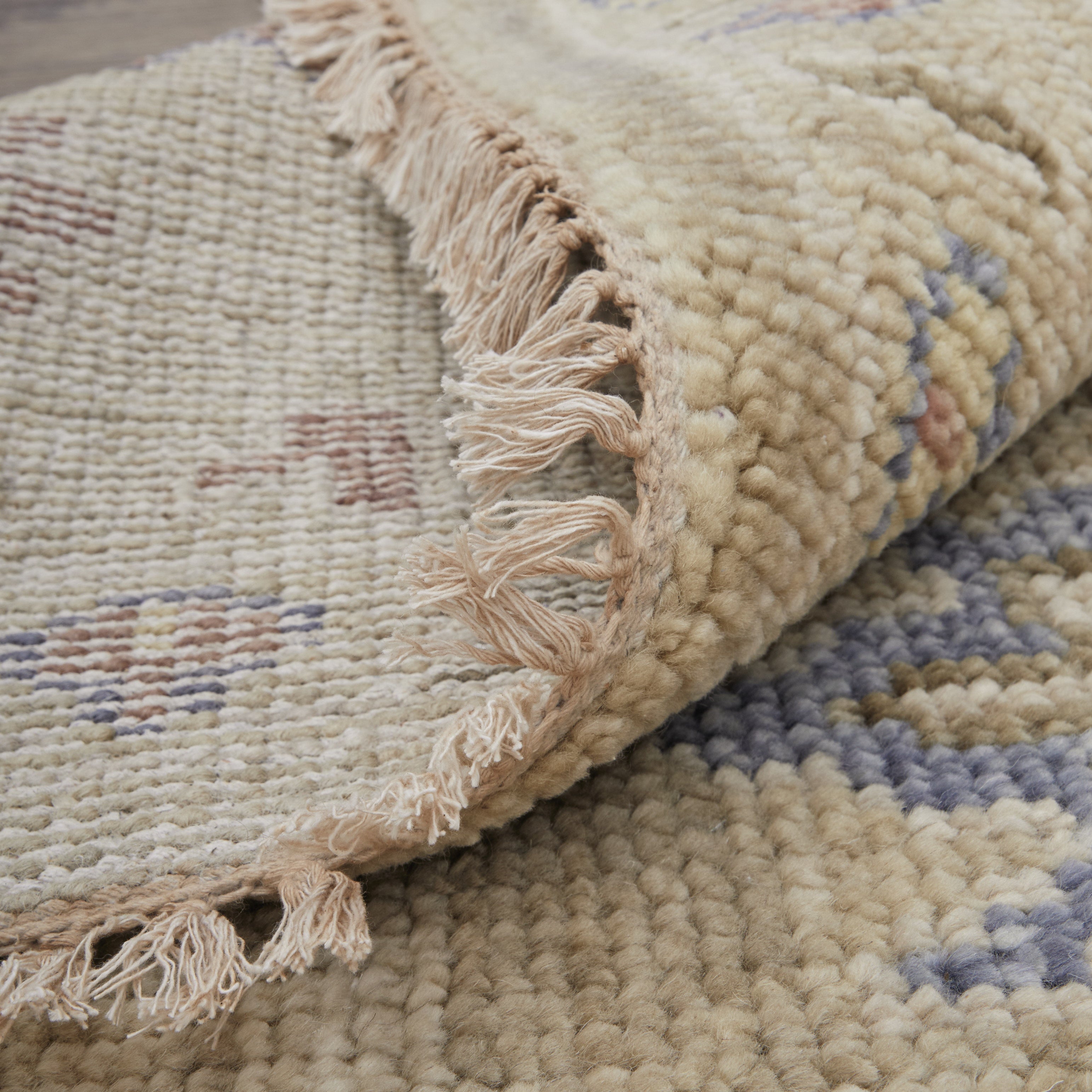 Fillmore Transitional Floral & Botanical - Brown/Tan/Blue Area Rug