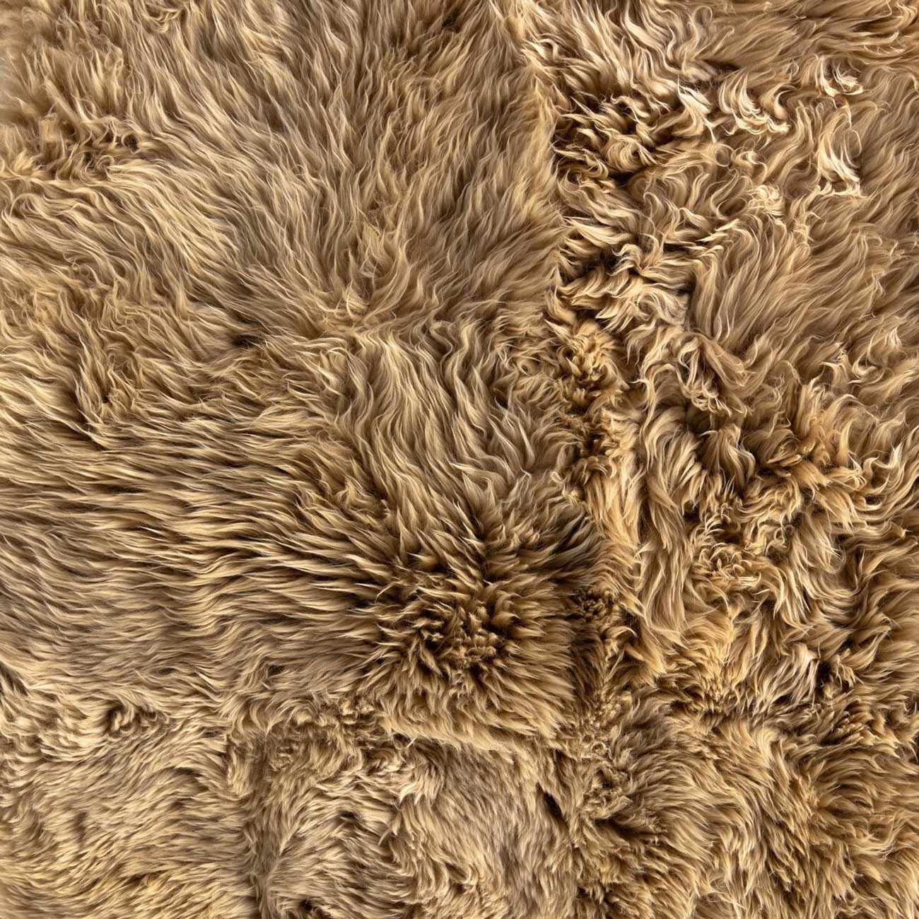 Lalo Lambskin Rug - Beige