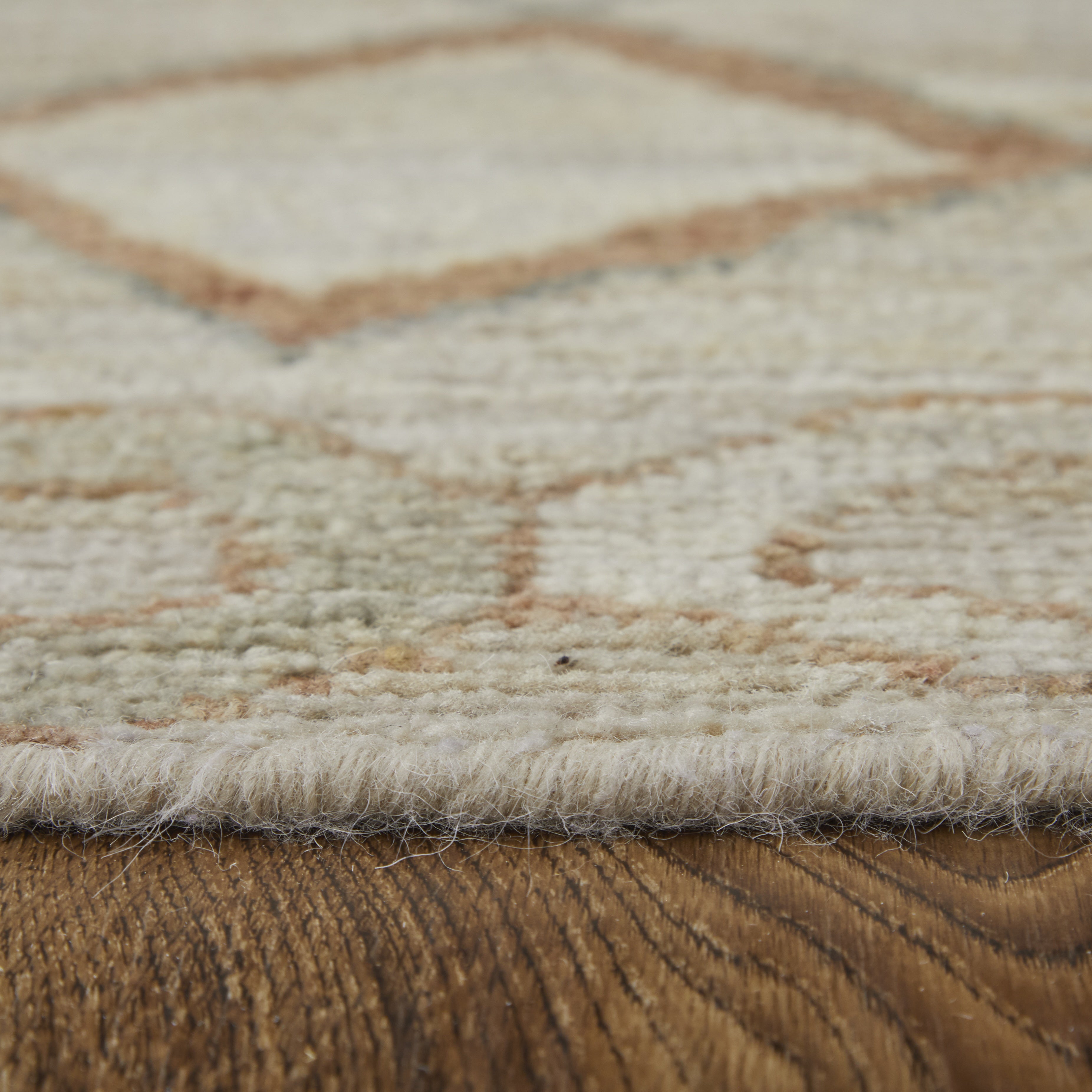Kasbah Transitional Moroccan - Tan/Orange/Gray Area Rug