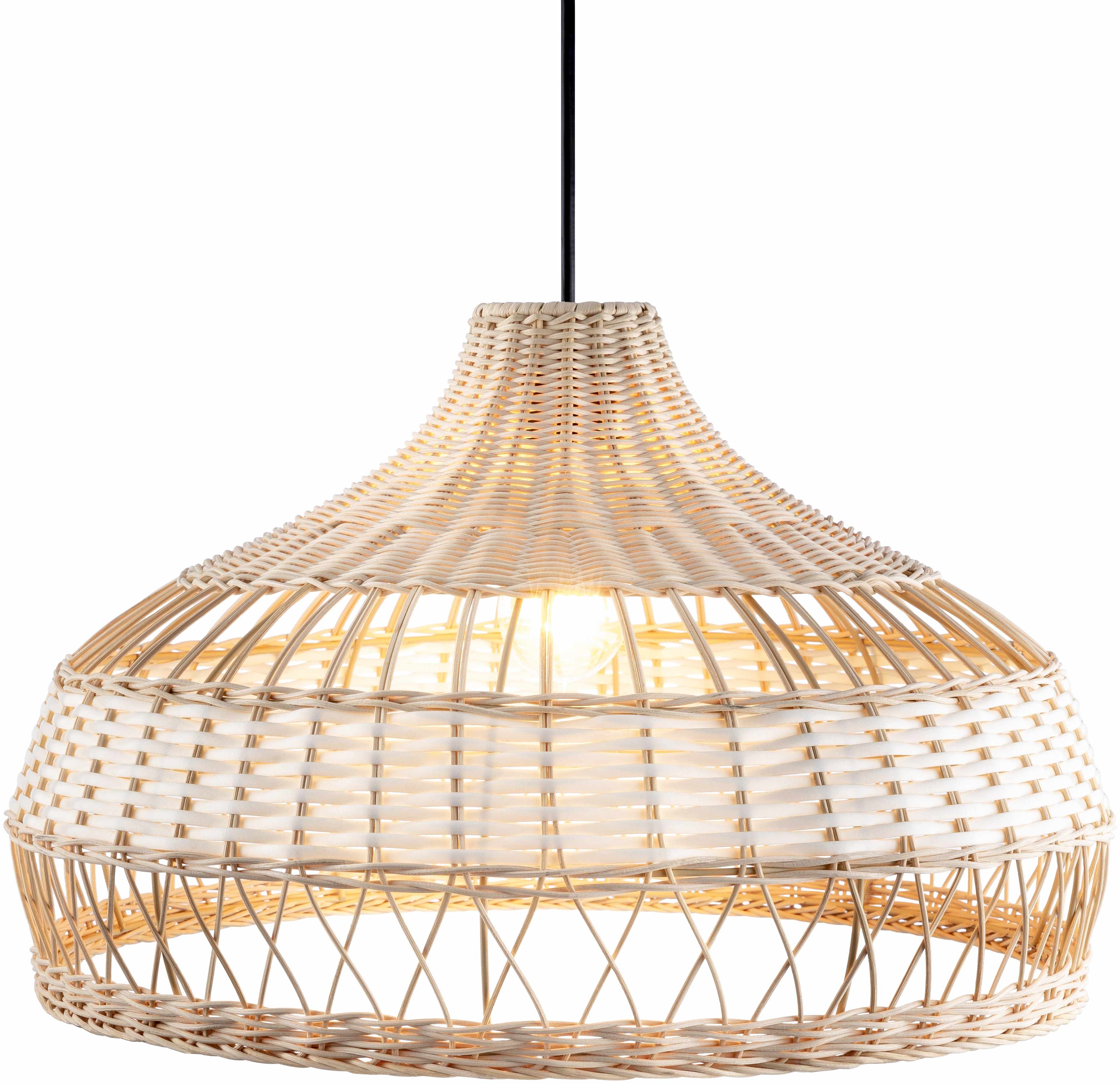 The Hollister Pendant