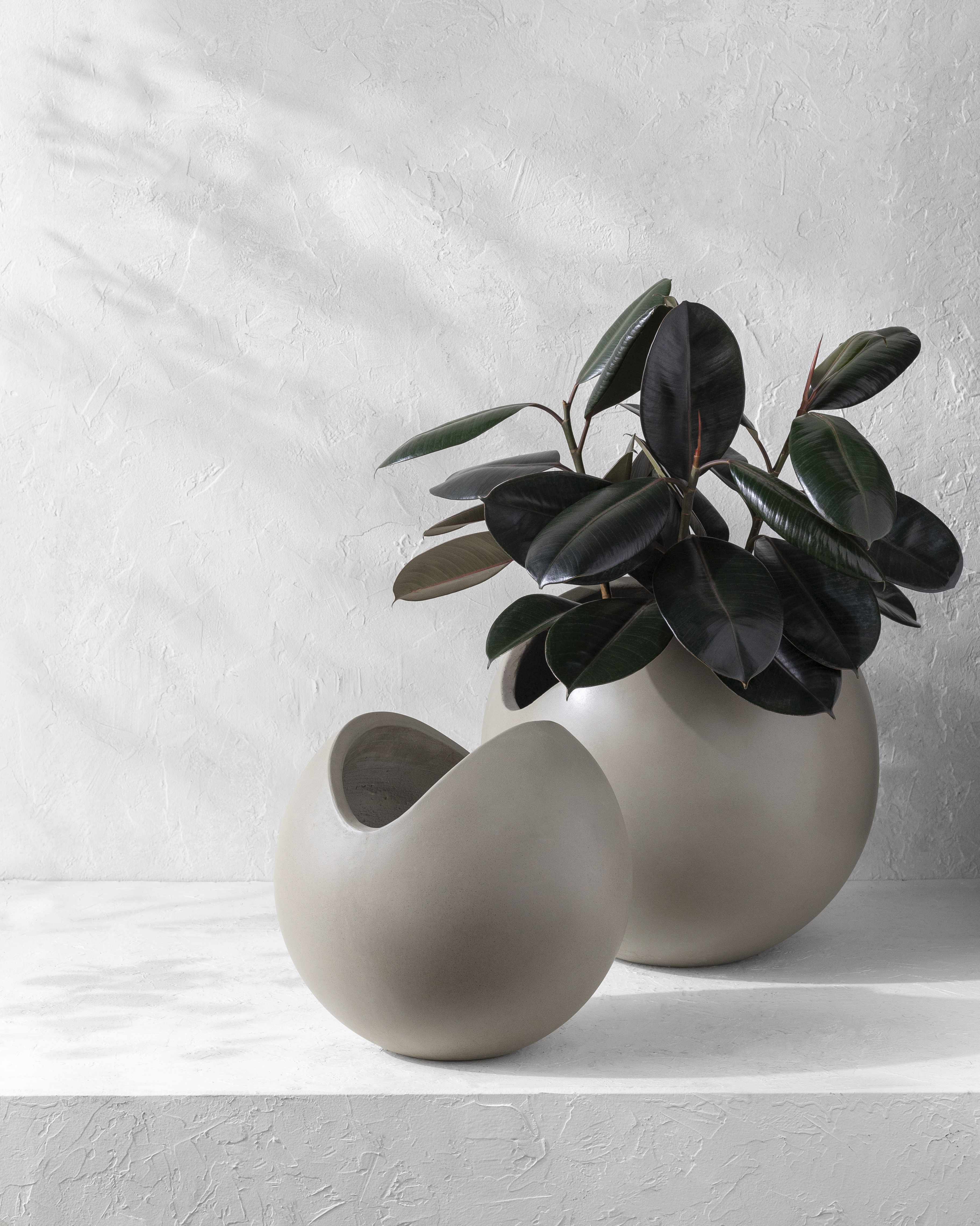 The Bono Planter