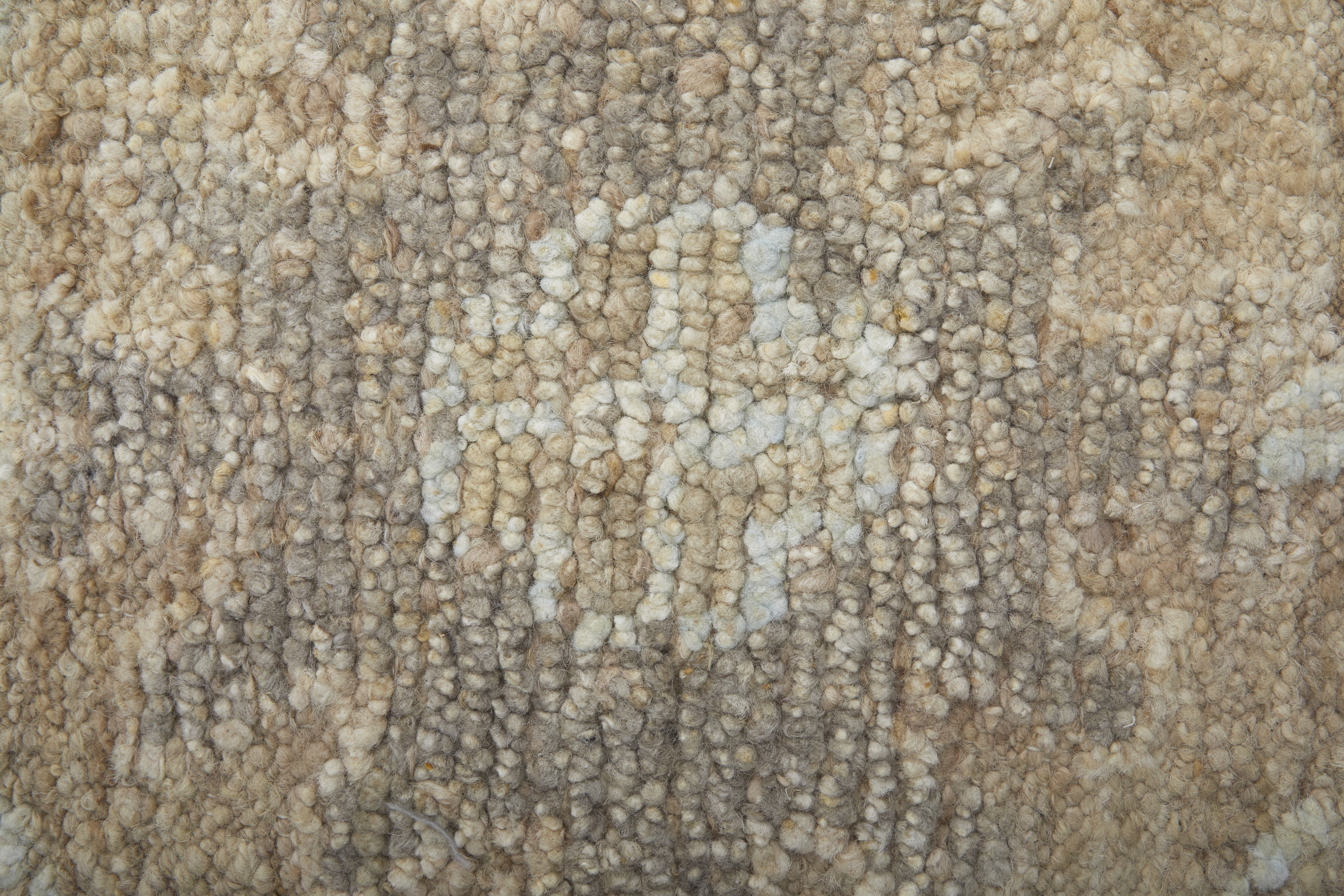 Grafton Transitional Floral & Botanical - Tan/Gray/Ivory Area Rug