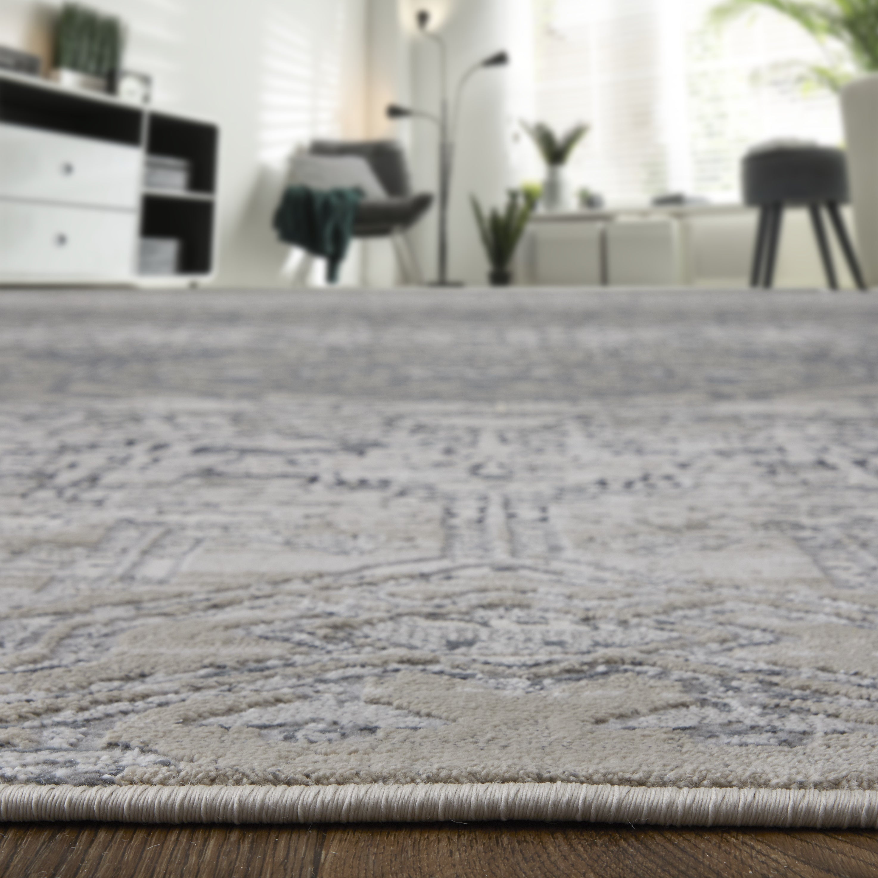 Macklaine Transitional Distressed - Ivory/Silver/Black