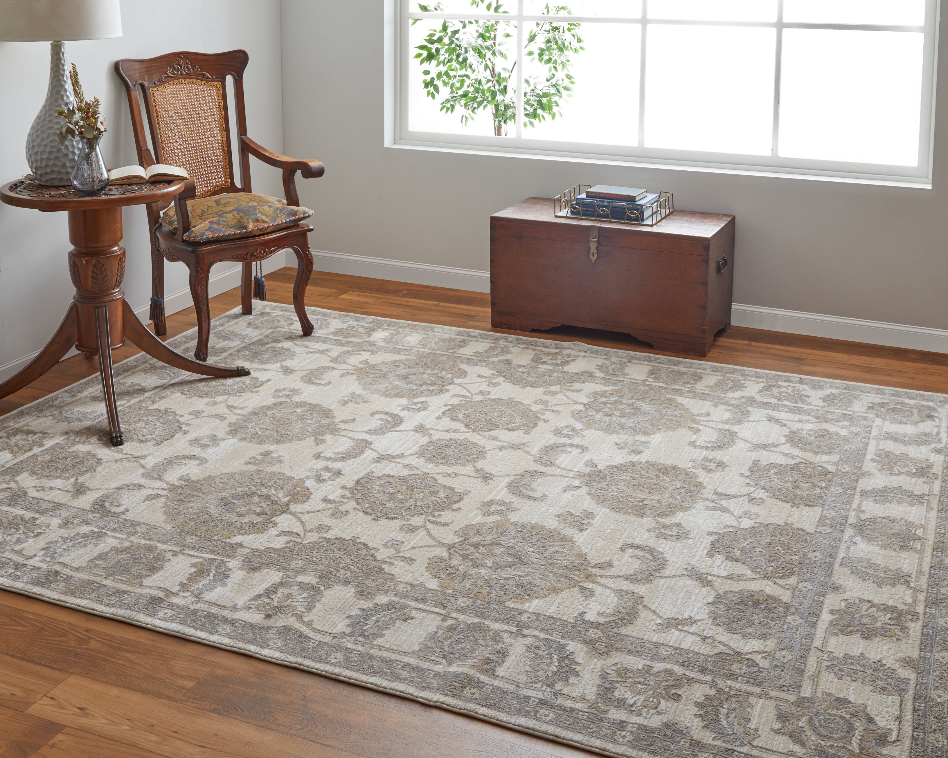 Celene Traditional Bordered - Tan/Ivory/Brown Area Rug