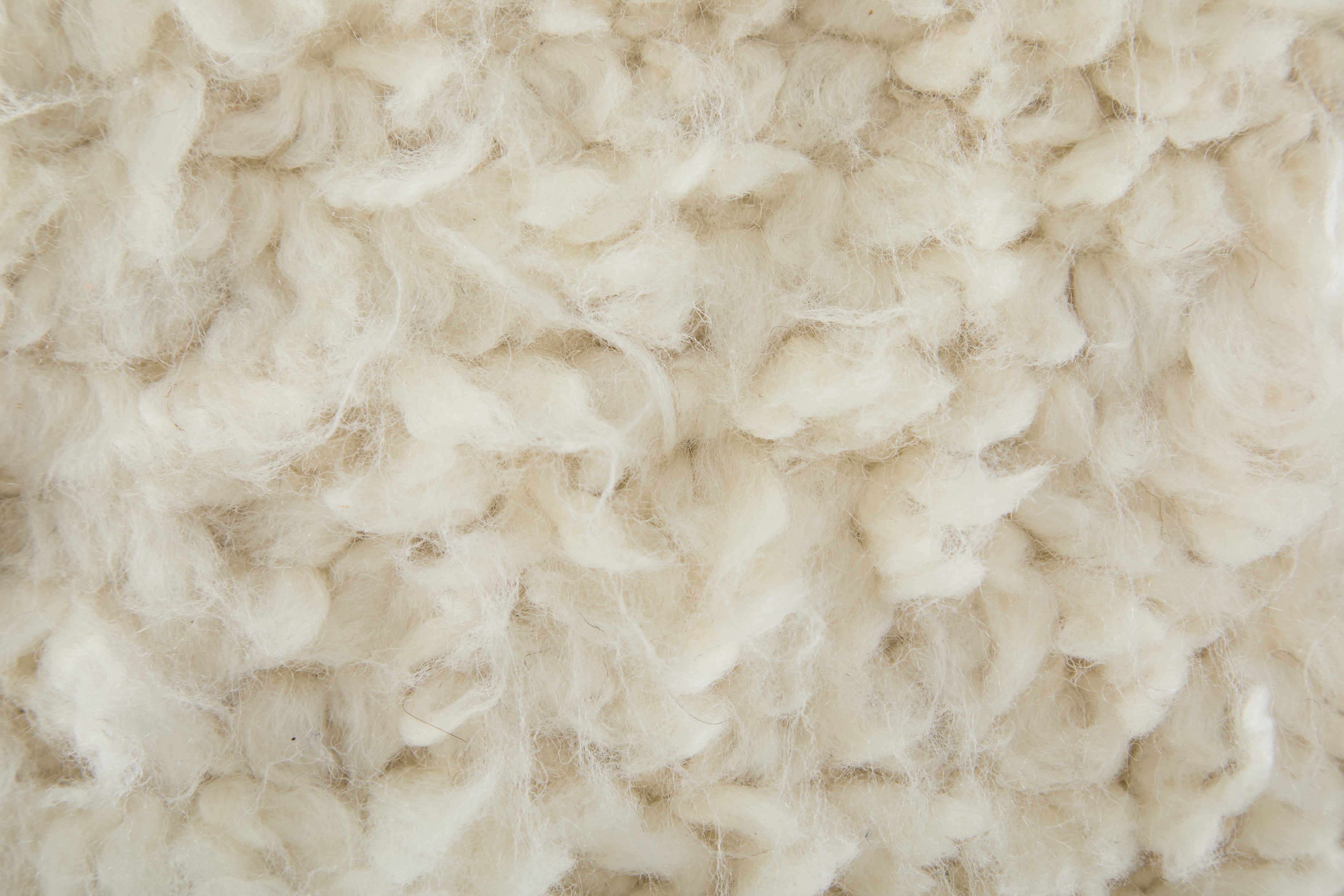 Ashby Transitional Geometric - Ivory Area Rug