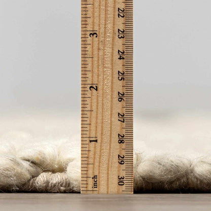 The Hanlontown Wool Rug
