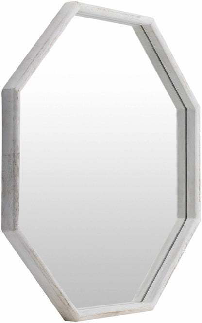 Lagueruela Mirror