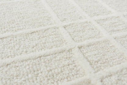 A07101 Area Rug