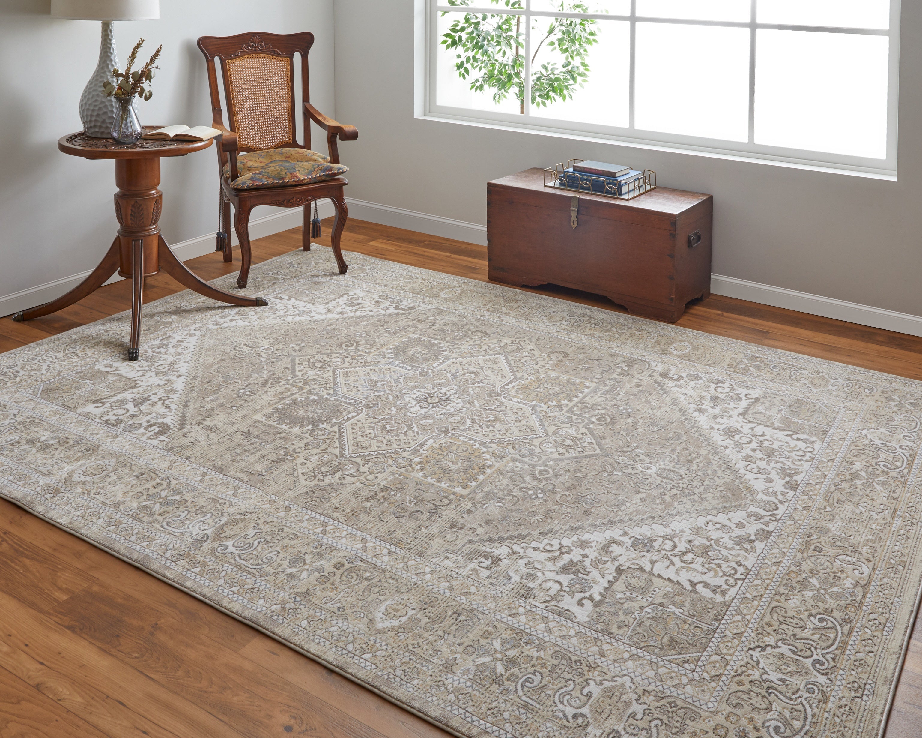 Celene Traditional Medallion - Brown/Ivory/Tan Area Rug