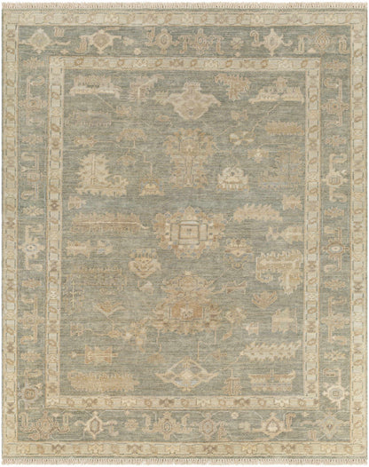 Brown Sophisticated Hand-Knotted Wool Area Rug