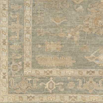 Brown Sophisticated Hand-Knotted Wool Area Rug