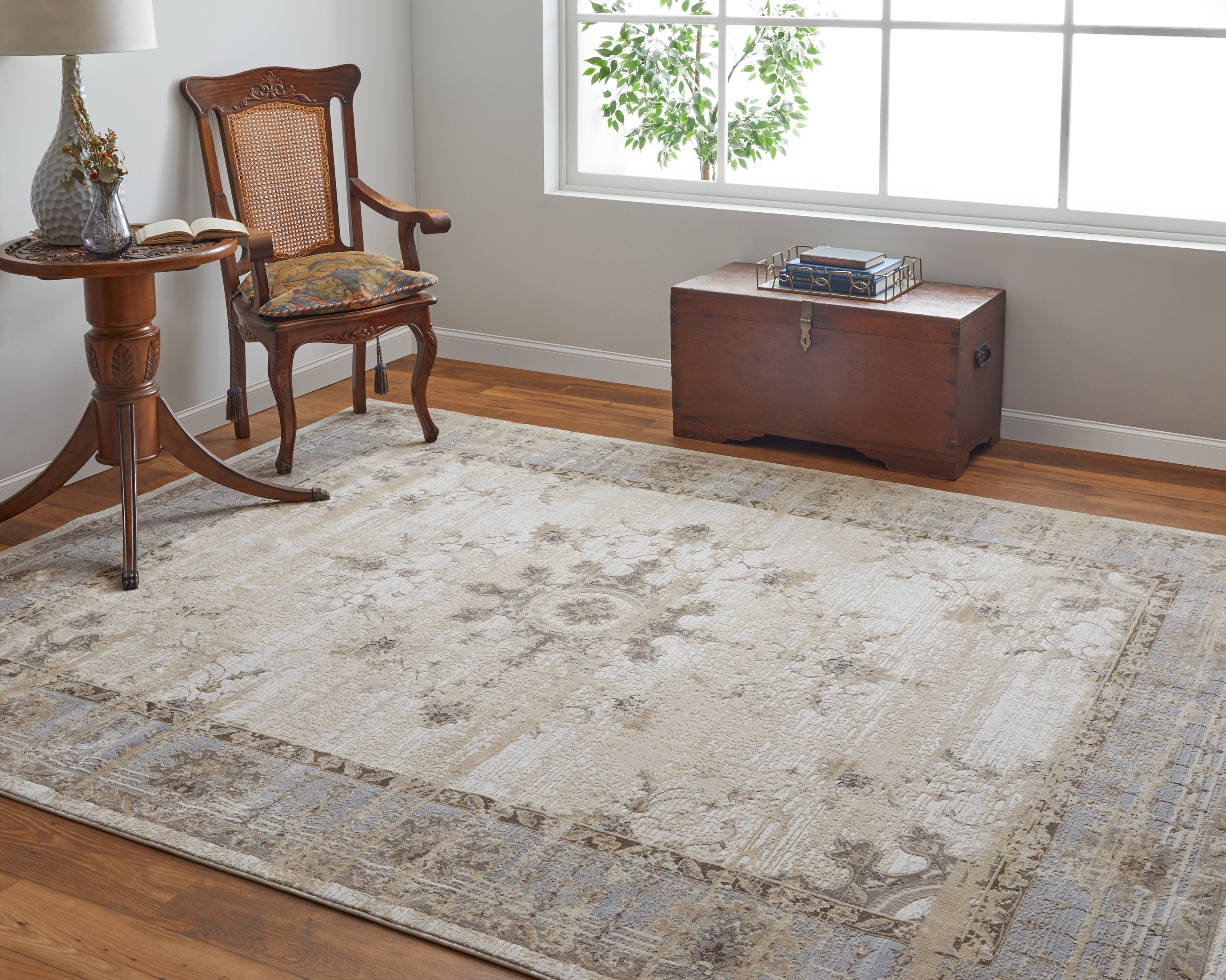 Celene Traditional Bordered - Tan/Brown/Gray Area Rug