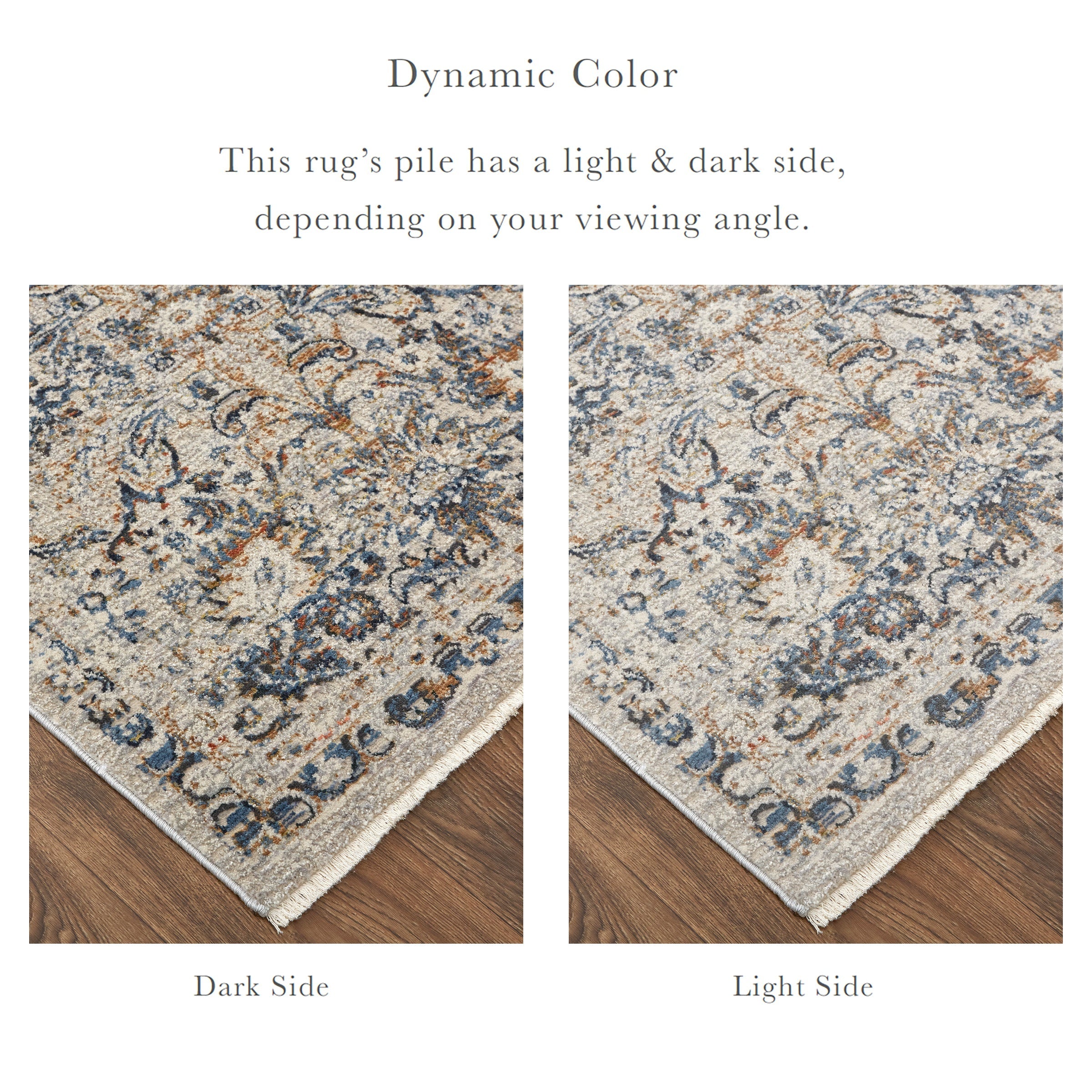 Kaia Transitional Damask - Tan/Blue/Orange Area Rug