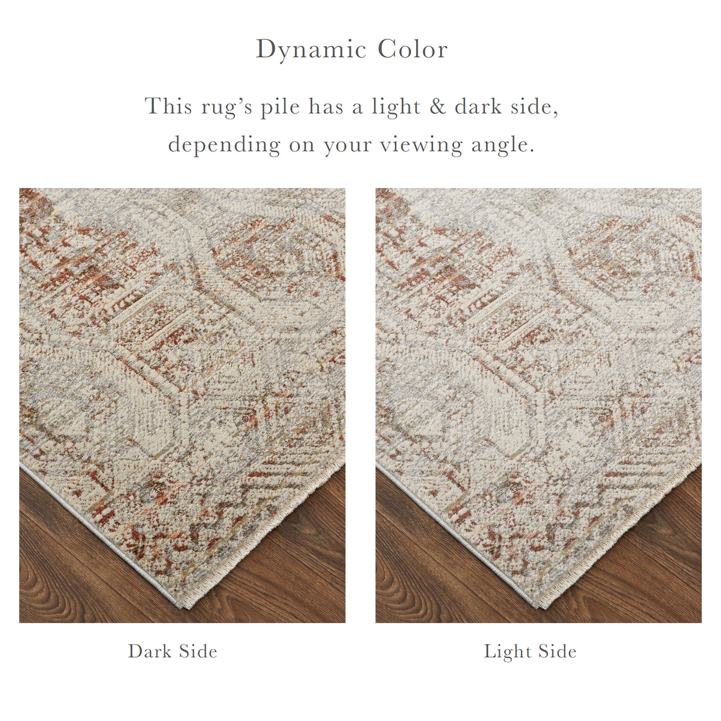 Kaia Transitional Distressed - Tan/Ivory/Orange Area Rug