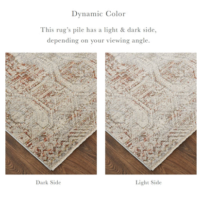 Kaia Transitional Distressed - Tan/Ivory/Orange Area Rug