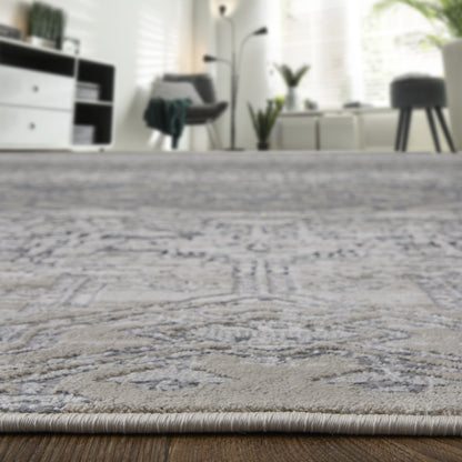 Macklaine Transitional Distressed - Ivory/Silver/Black