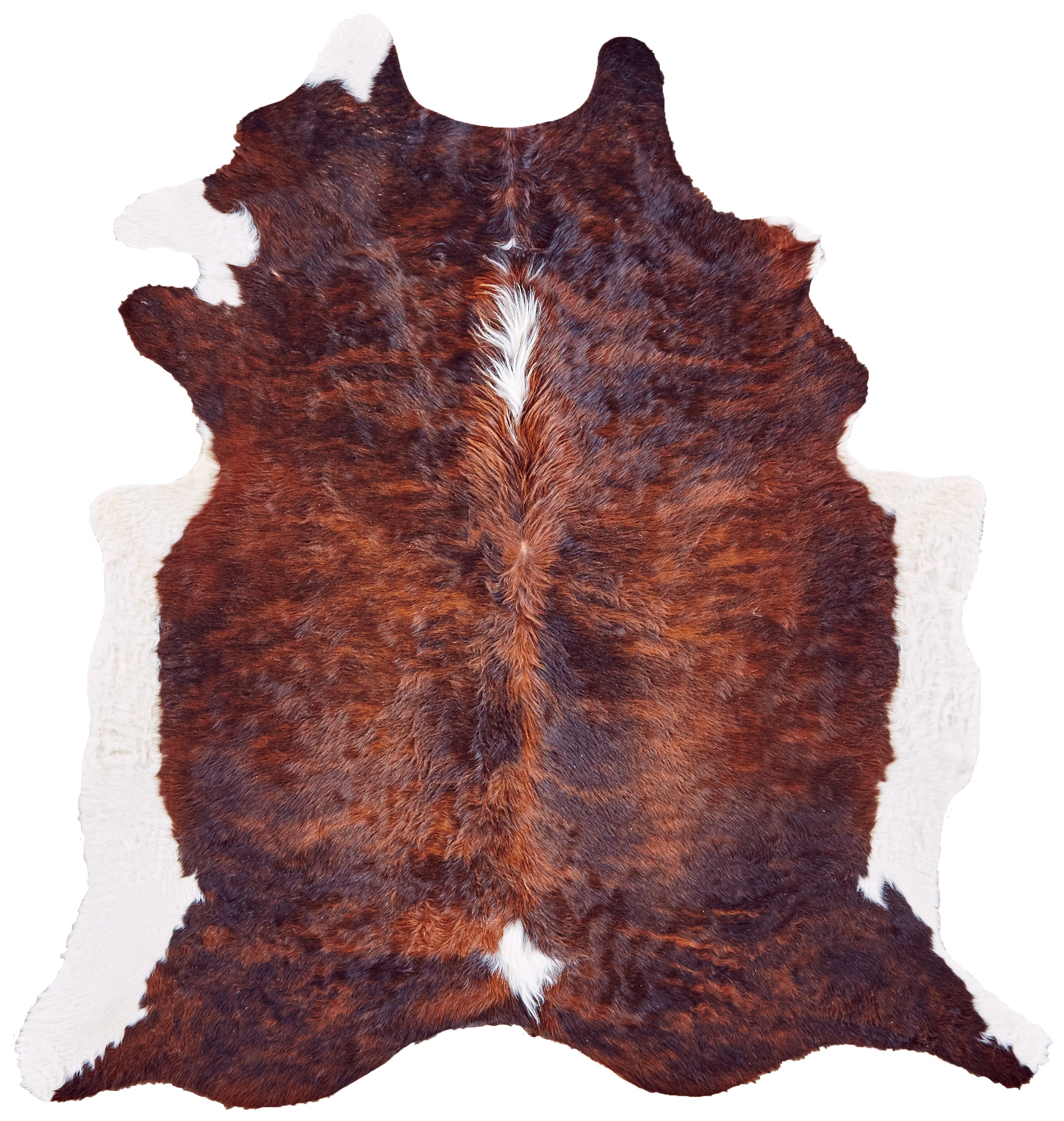 Bartlett Transitional Animal Print - Brown/White/Black