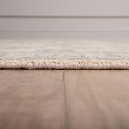 HAL667 Area Rug