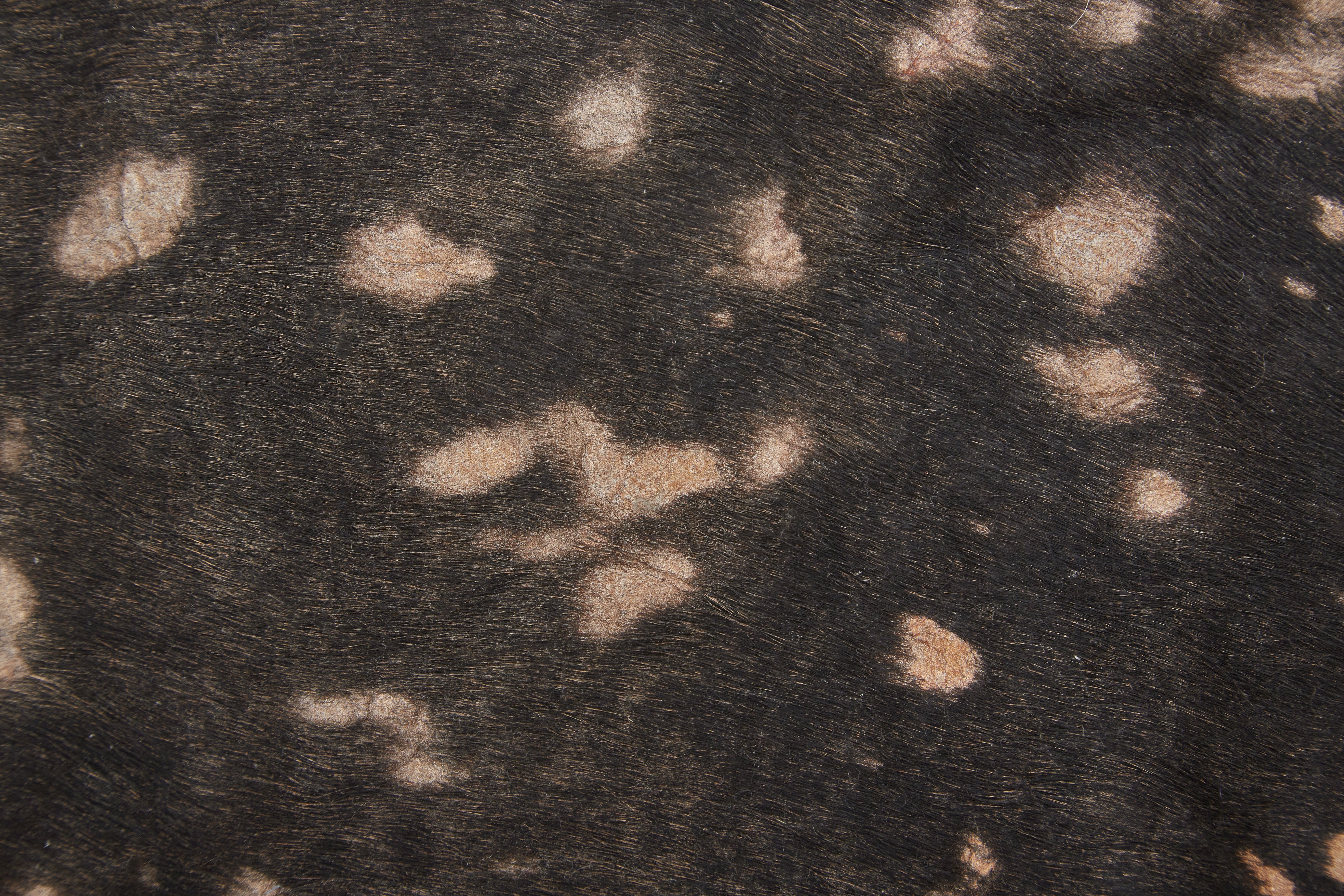 Ellyse Brown Cow Hide