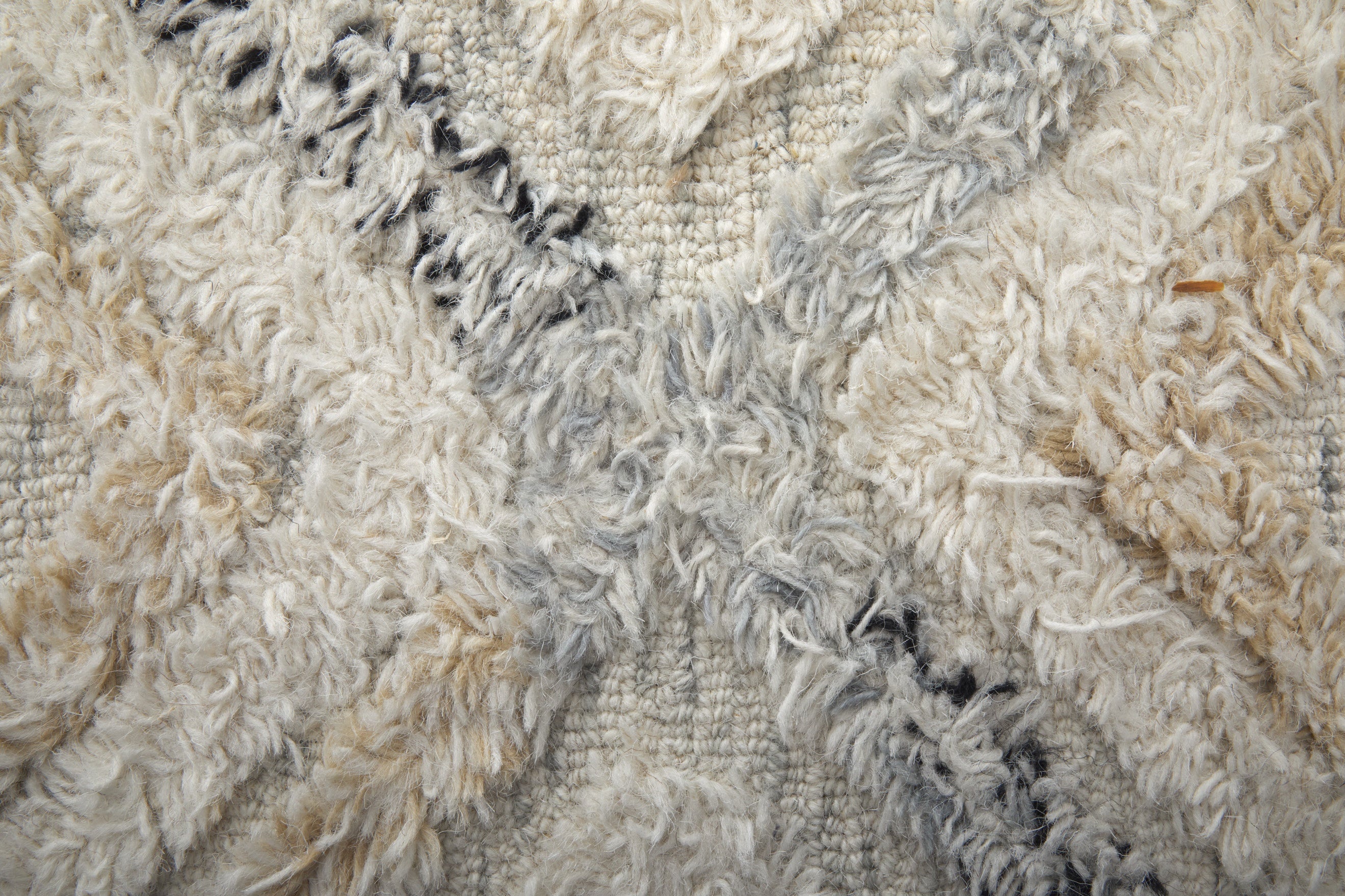 Anica Transitional Moroccan - Ivory/Gray/Black Area Rug