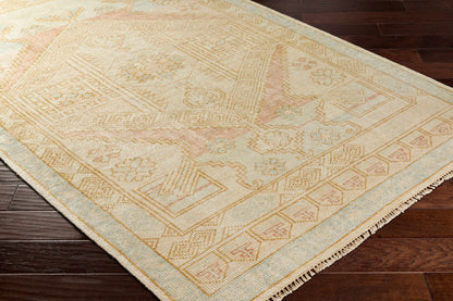 Hand-Knotted Camel & Blue Wool Area Rug