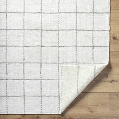 Trendy Cozy Gridded Wool Handwoven Area Rug