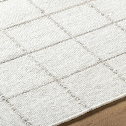 Trendy Cozy Gridded Wool Handwoven Area Rug