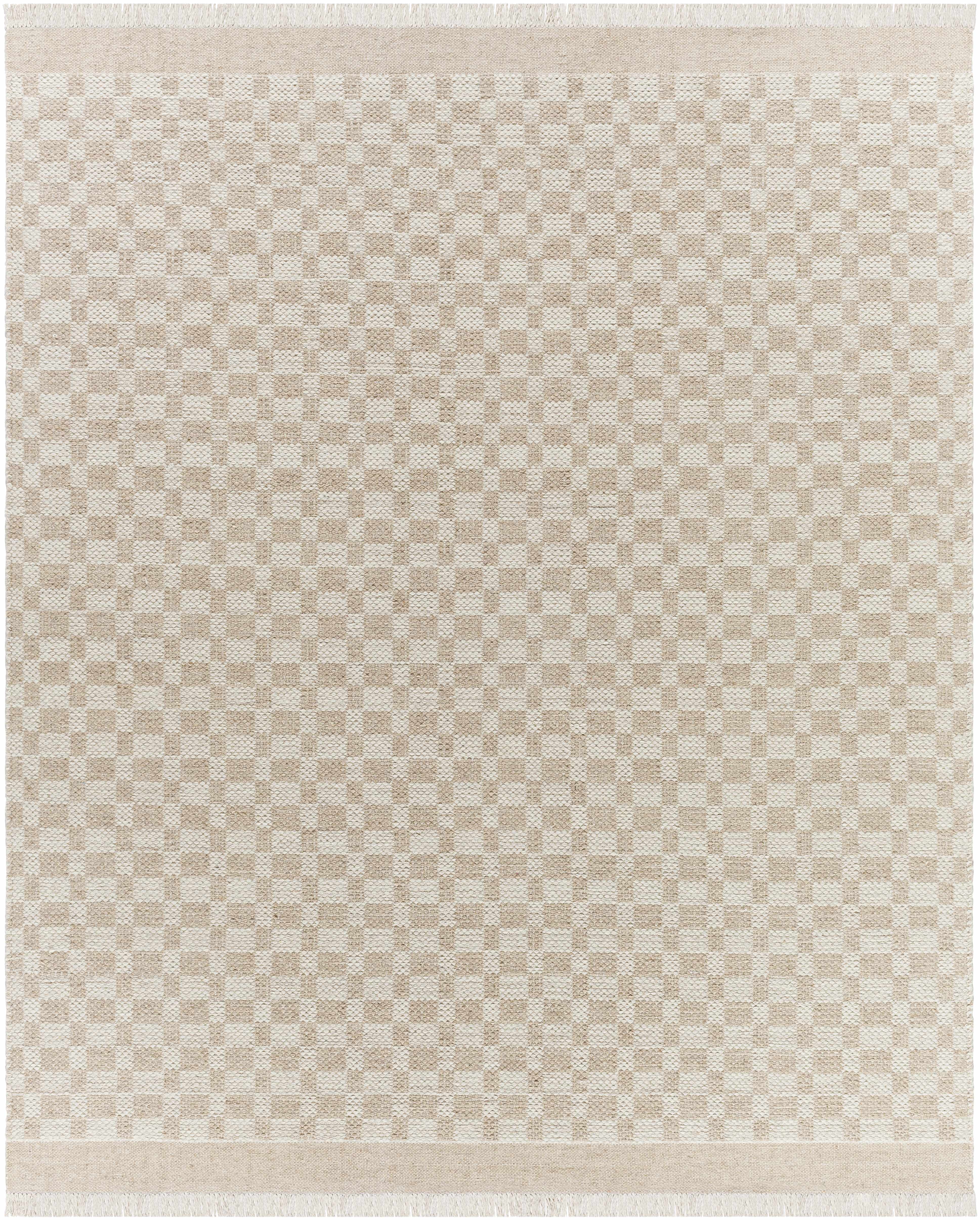 Cozy Elegant Tan Wool Handwoven Area Rug