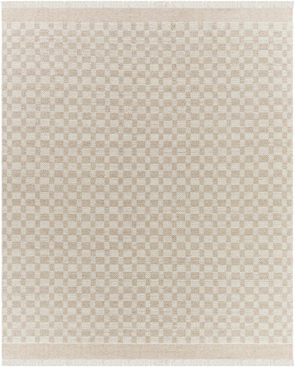 Cozy Elegant Tan Wool Handwoven Area Rug