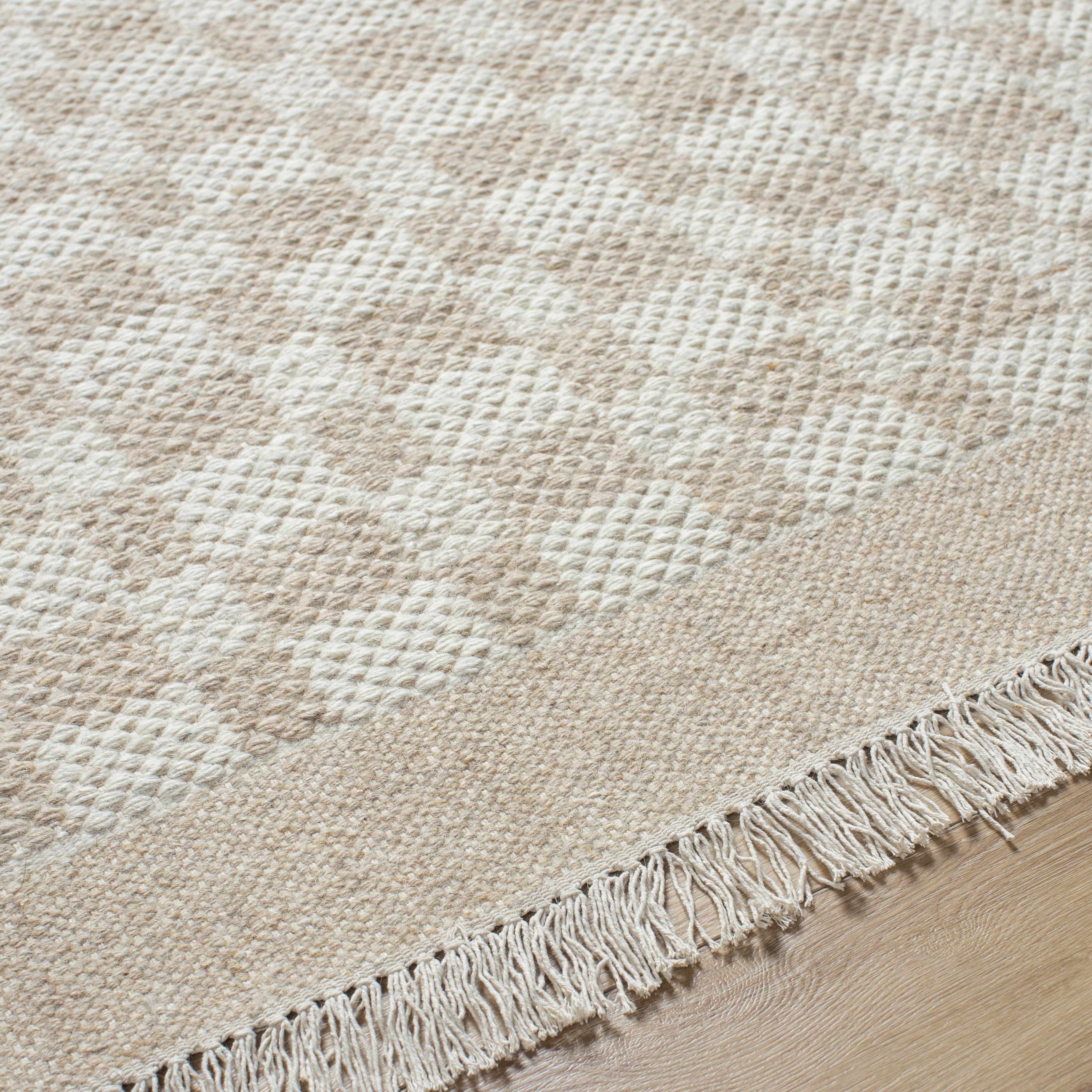 Cozy Elegant Tan Wool Handwoven Area Rug