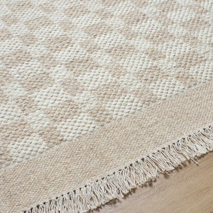 Cozy Elegant Tan Wool Handwoven Area Rug