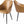 Ronda Camel Chair
