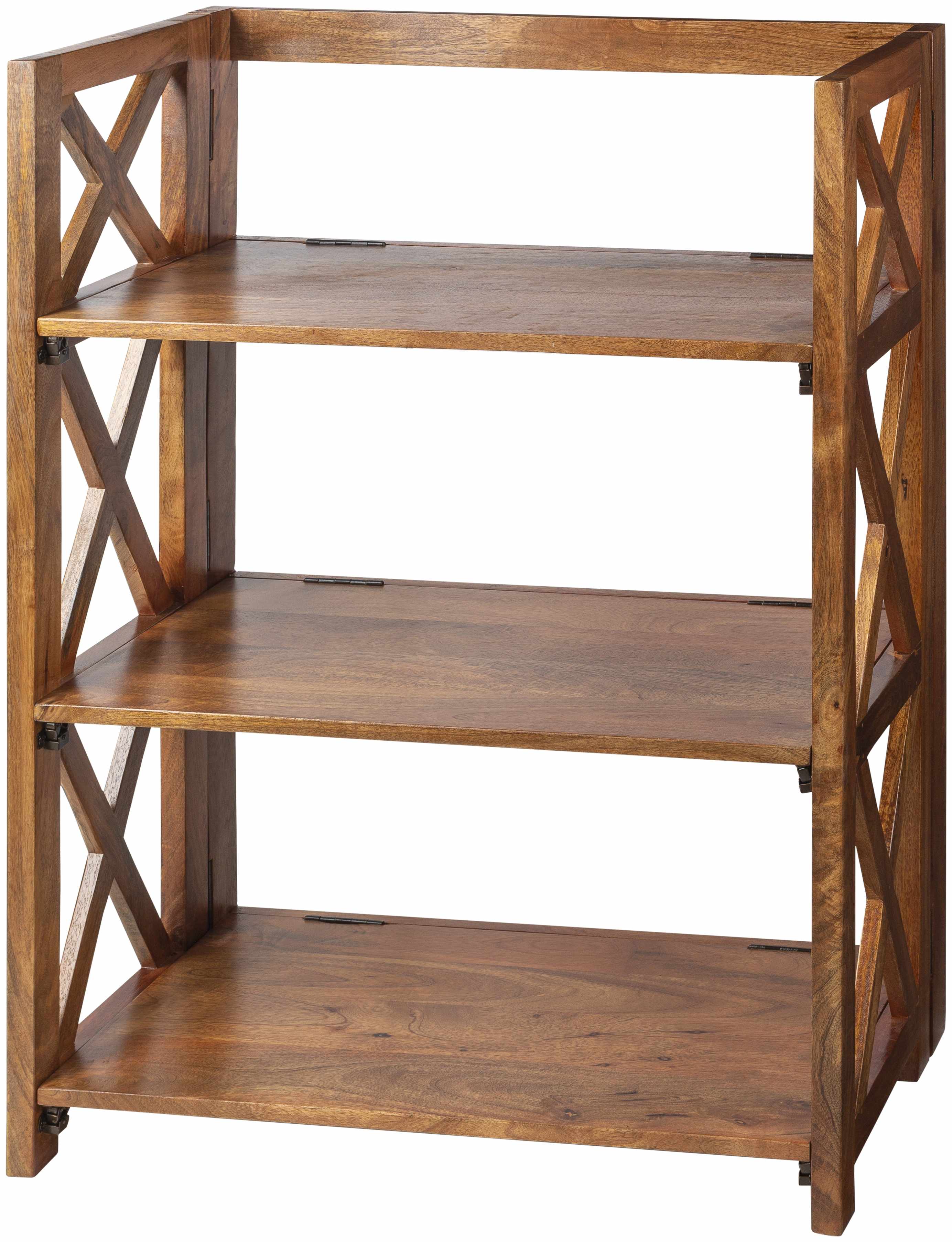 The Toledo Bookcase