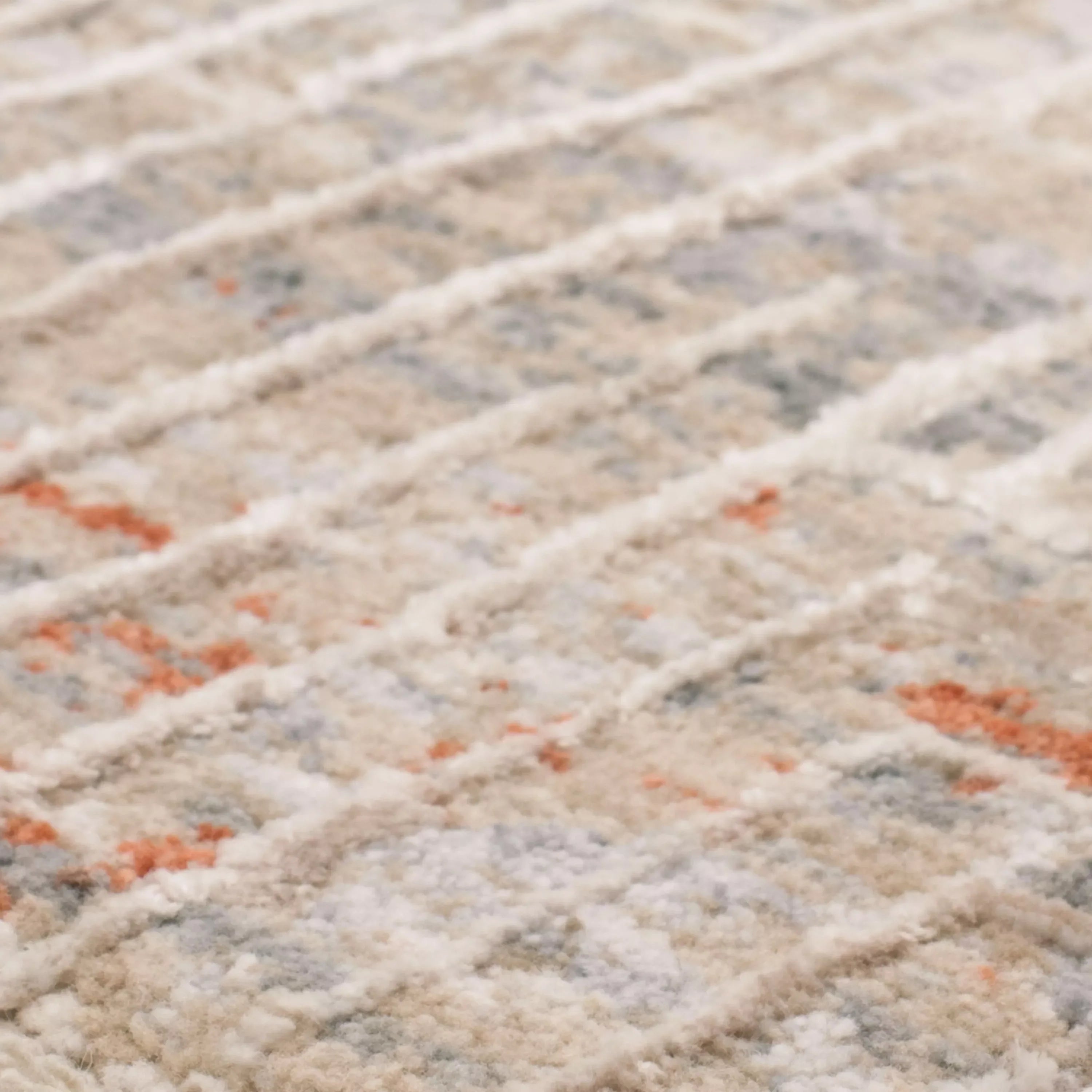 Plaza Dilao Dark Grey Beige Area Rug