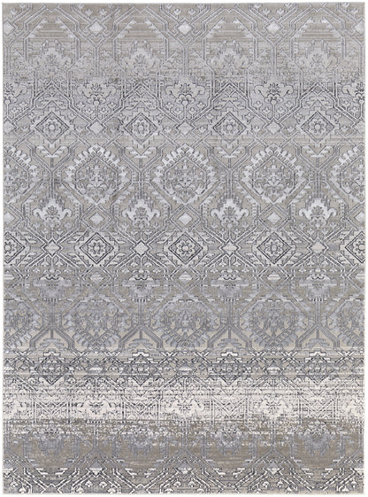 Macklaine Transitional Distressed - Ivory/Silver/Black