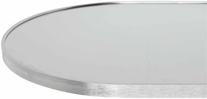 Lettice Silver Gray Aluminum Oval Mirror