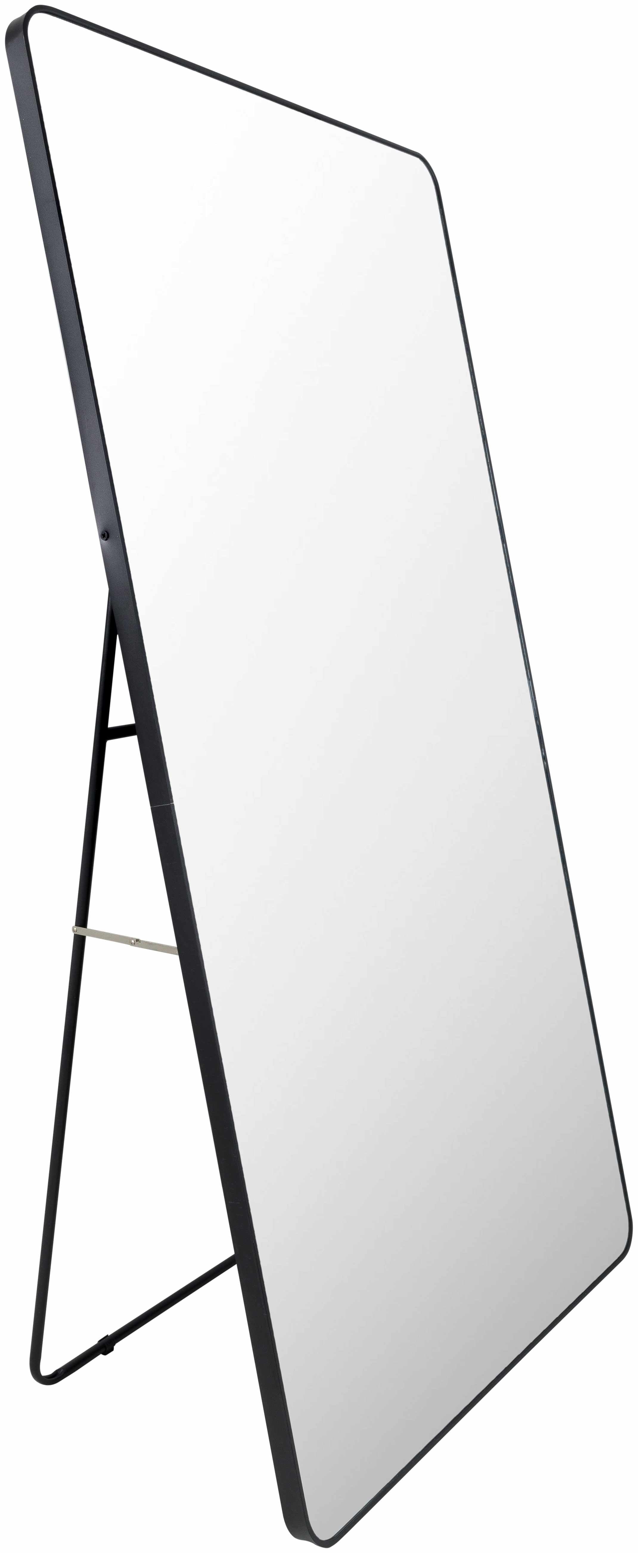 Luz Black Aluminum Full Length Rectangle Mirror