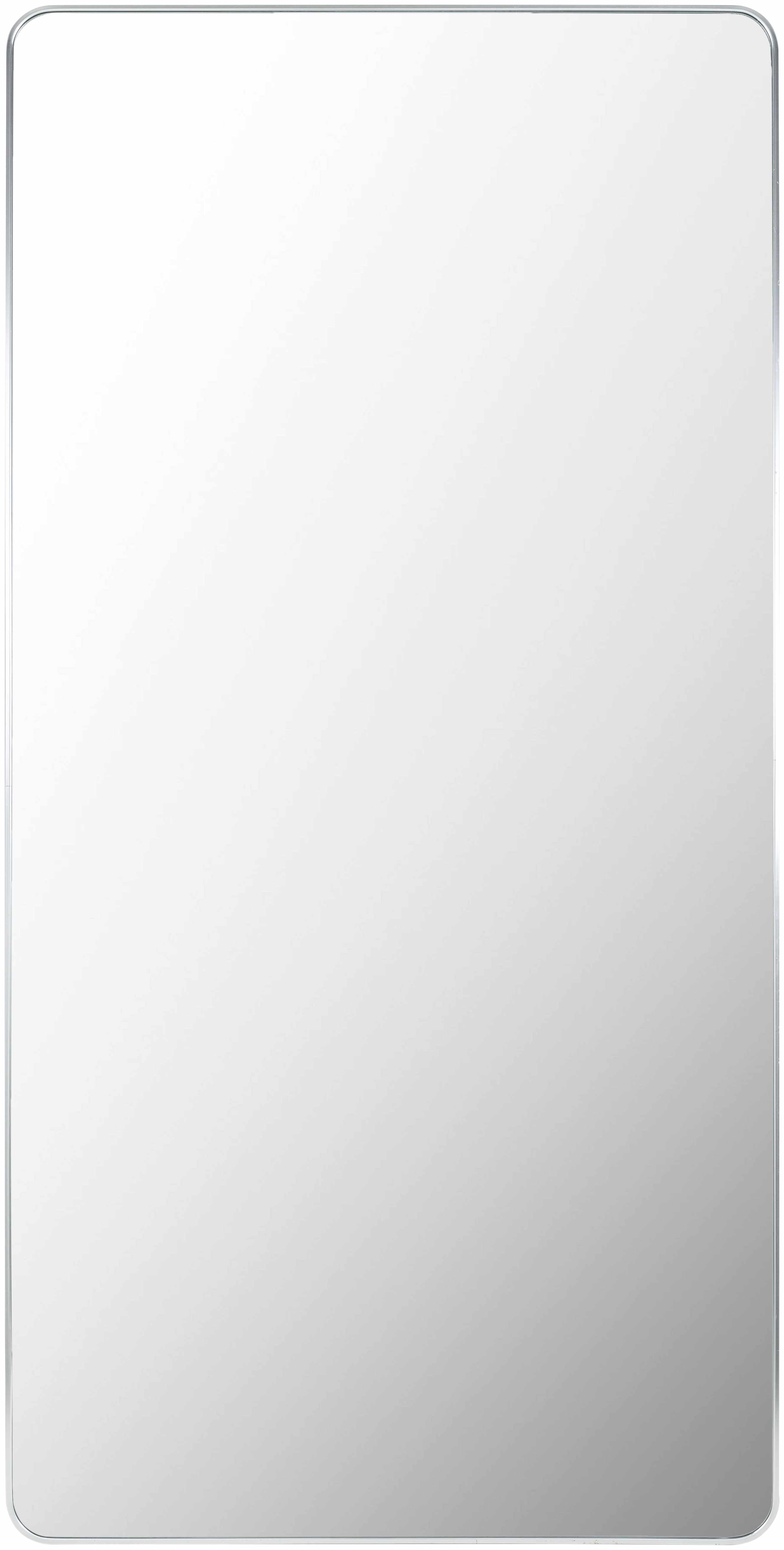 Luz Silver Gray Aluminum Full Length Rectangle Mirror