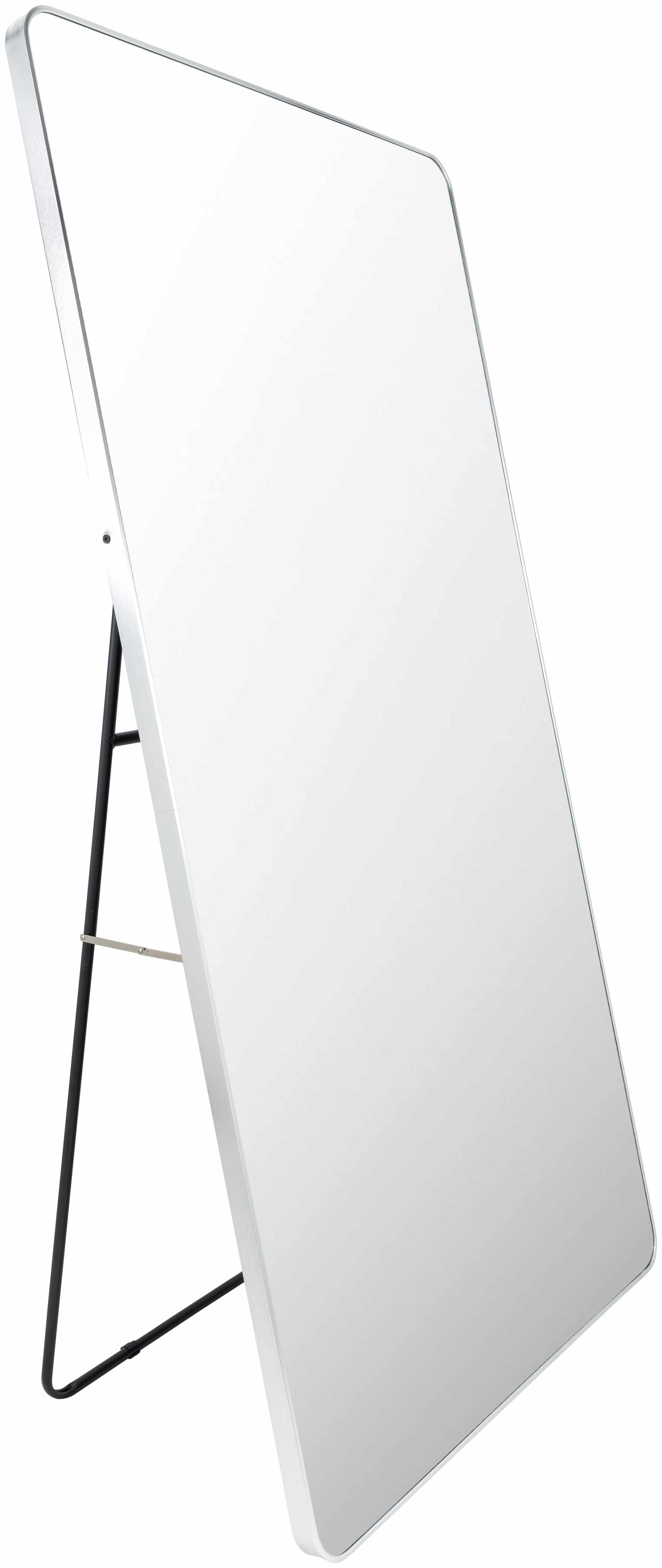 Luz Silver Gray Aluminum Full Length Rectangle Mirror
