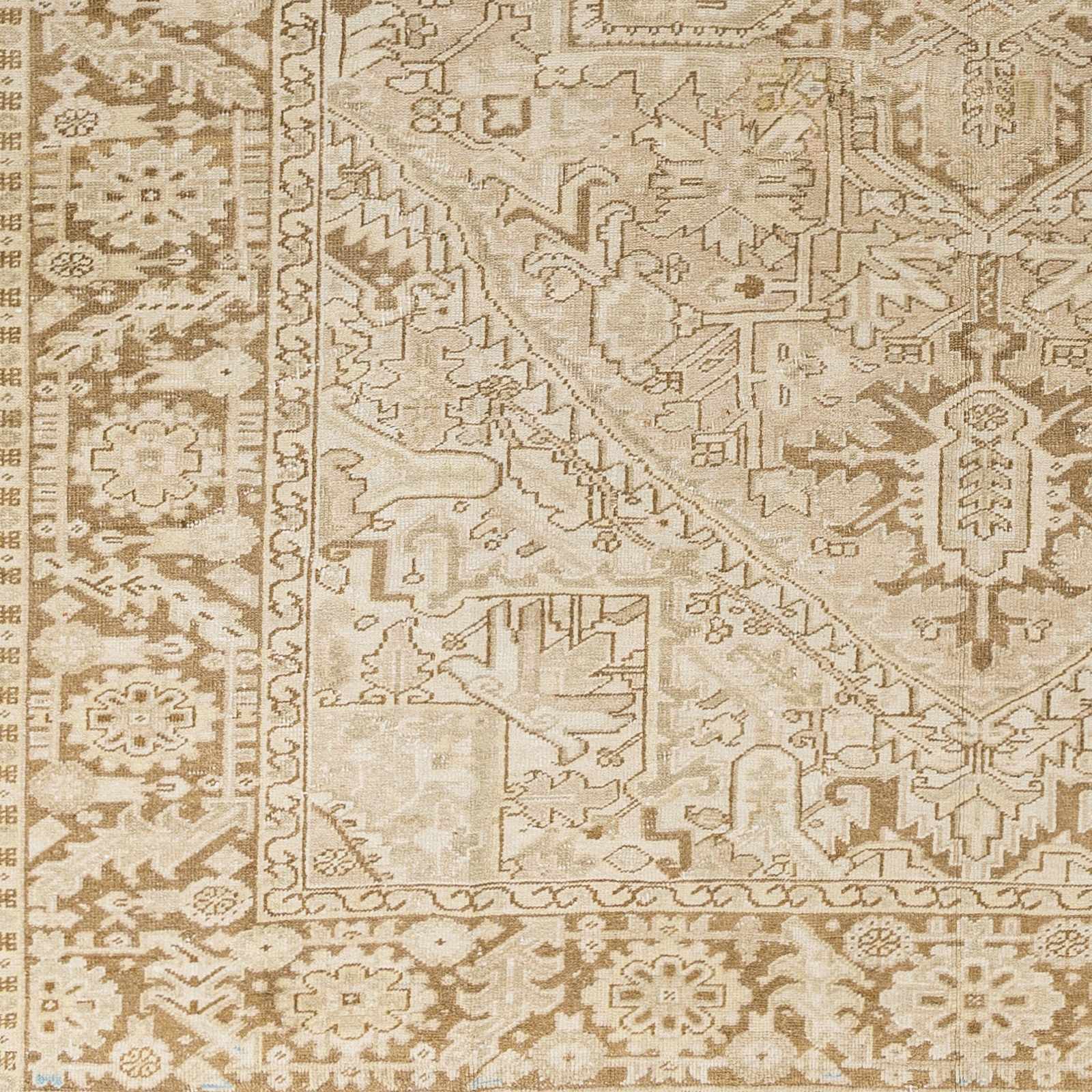 The Wilma Rug