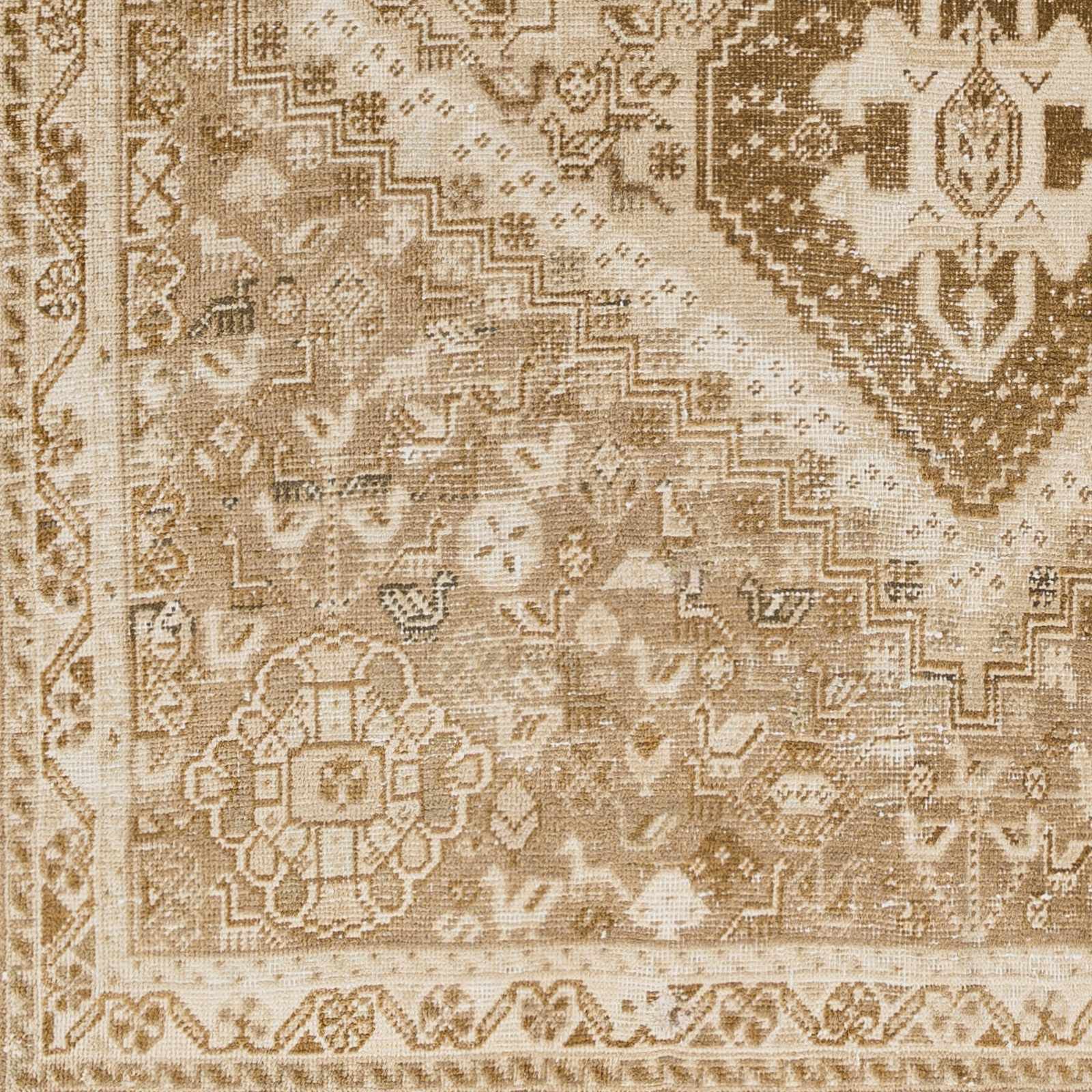 The Amaris Rug