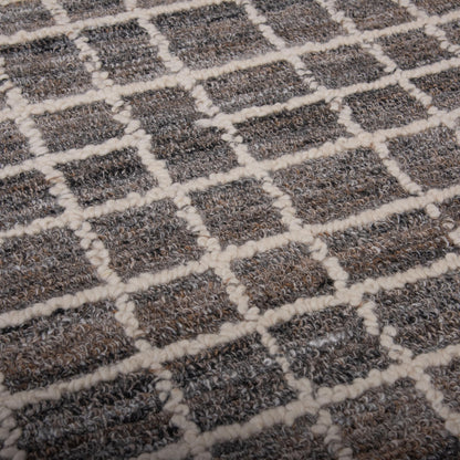 TIM696 Area Rug