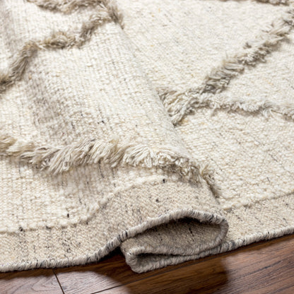 Cream Hand Knotted Wool Area Rug