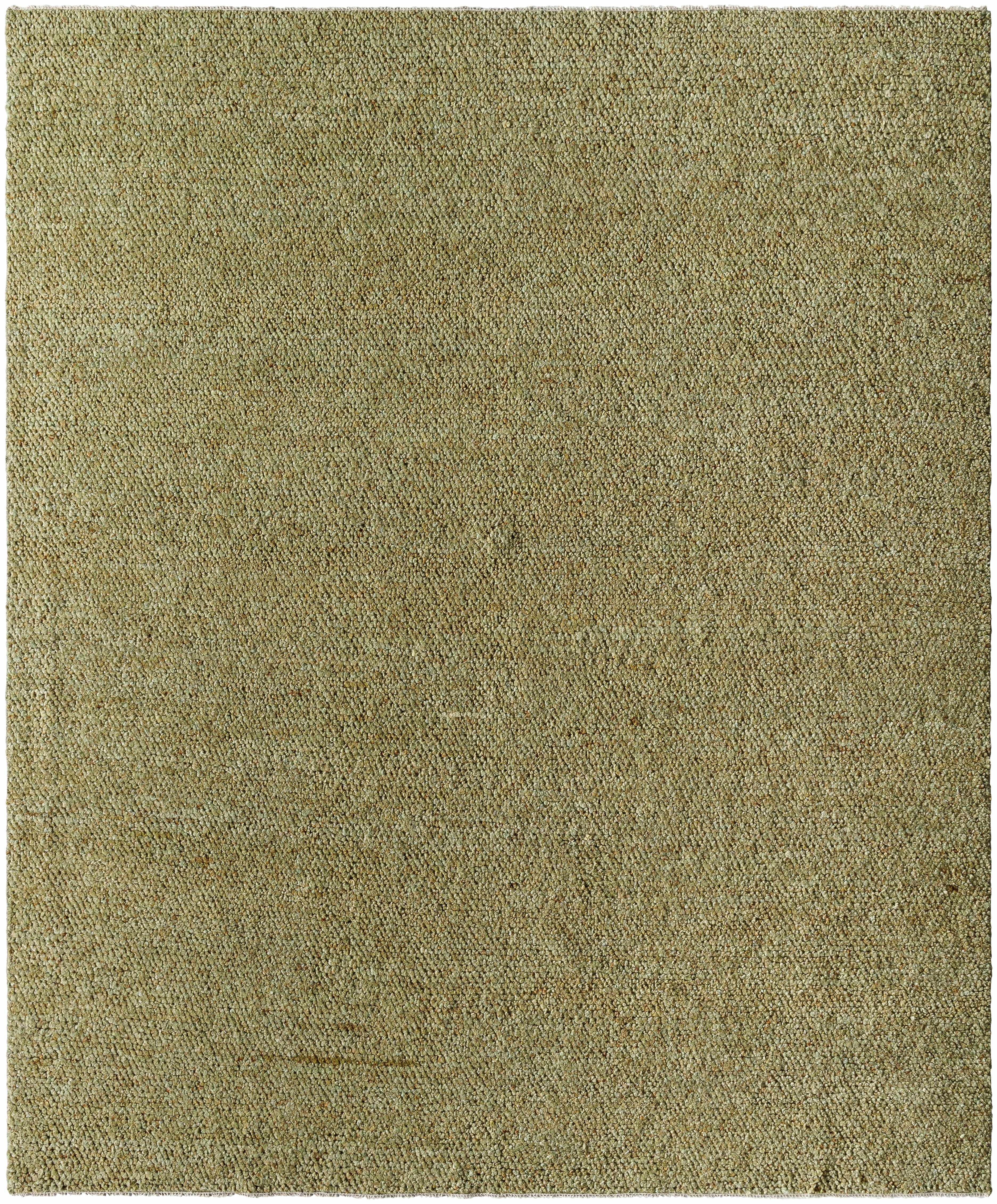 Graceful  Hand-Knotted Wool Area Rug