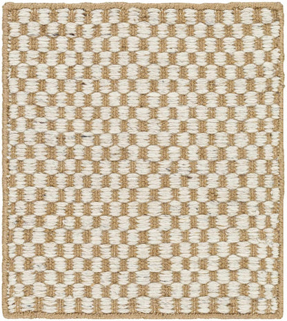 Exceptional Checkered Cream Hand Woven Jute & Wool Area Rug