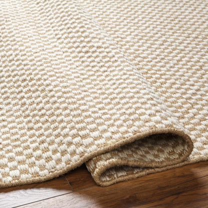 Exceptional Checkered Cream Hand Woven Jute & Wool Area Rug
