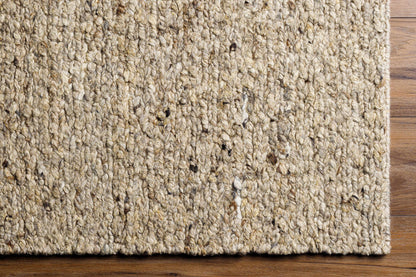 Modern Minimalist Beige Hand Knotted Wool Area Rug