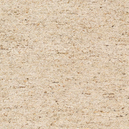 Modern Minimalist Beige Hand Knotted Wool Area Rug
