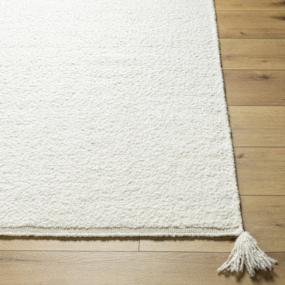 Natural Trendy Neutral New Zealand Wool Handwoven Area Rug
